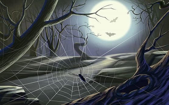 27, Halloween Spider Picture