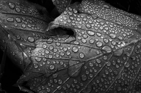 rainphotos04 in 35 (Really) Beautiful Examples of Rain Photography