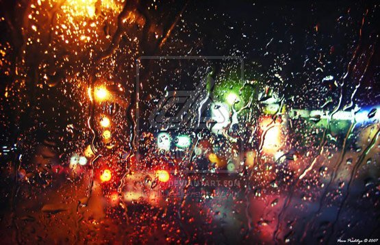 rainphotos05 in 35 (Really) Beautiful Examples of Rain Photography