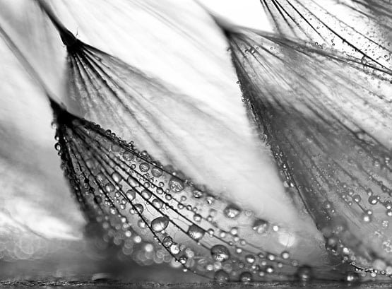rainphotos12 in 35 (Really) Beautiful Examples of Rain Photography