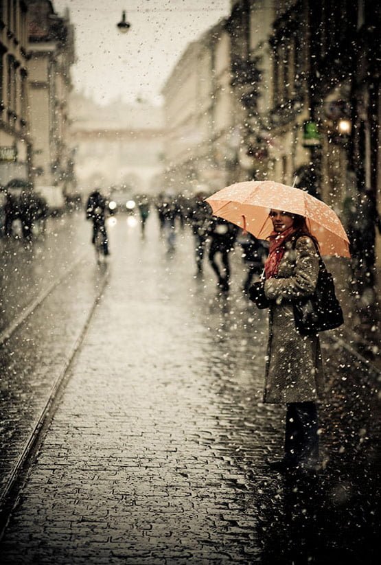 rainphotos18 in 35 (Really) Beautiful Examples of Rain Photography