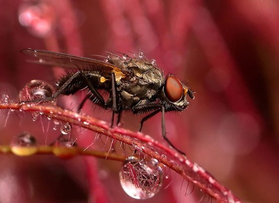 rainphotos33 in 35 (Really) Beautiful Examples of Rain Photography