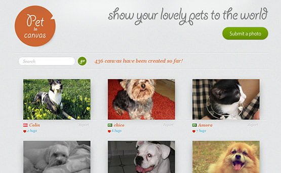 Pet in Canvas, Latest Trend of Logos in Web Design