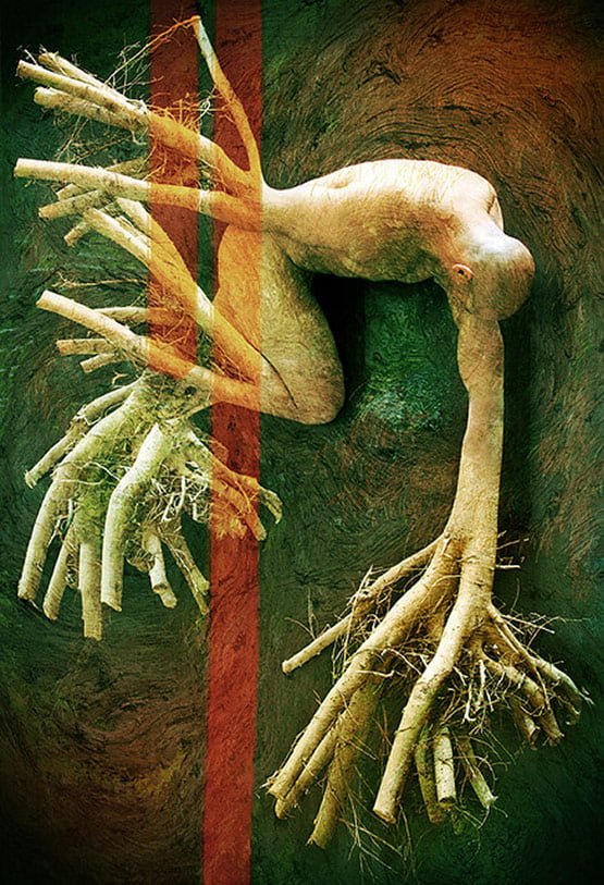 Roots of Human Being, Bizarre Photo Manipulation of Self Portrait