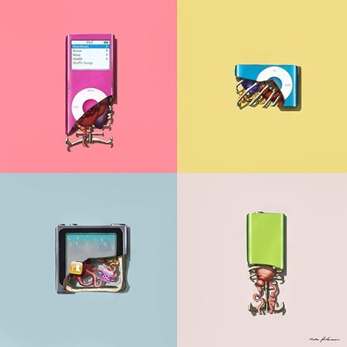 Choose Your Anatomy in Anatomy of Objects That Make You Say Wow