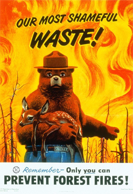 Smokey the Bear, Shameful Waste