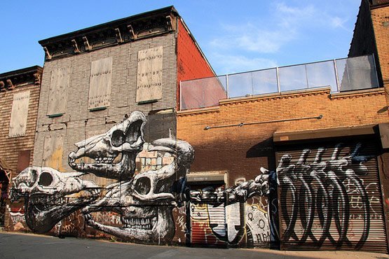 1729 in Graffiti Street Art of Animals