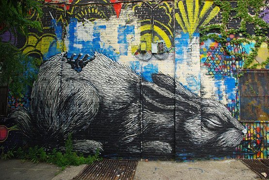 1732 in Graffiti Street Art of Animals