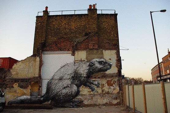 1736 in Graffiti Street Art of Animals