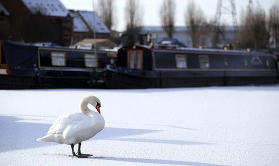 18 of 25, Attractive Snow Pictures of UK 2010