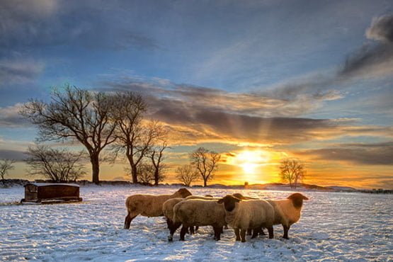 25 of 25, Attractive Snow Pictures of UK 2010