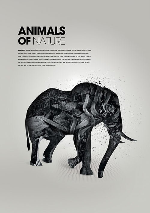 Animals of Nature 2