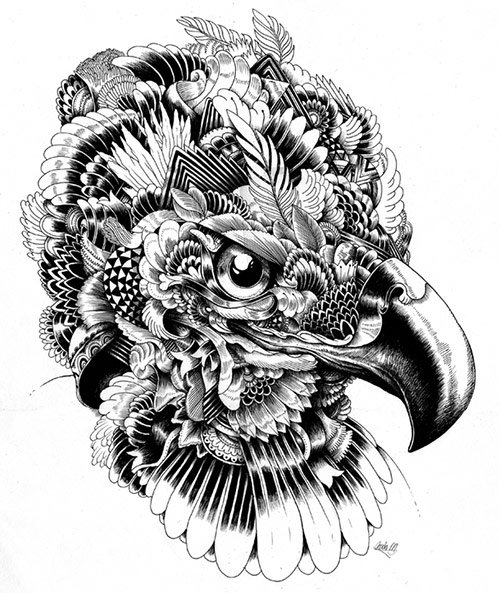 05 AnimalDrawing in Incredibly Amazing Animal Illustrations by Iain Macarthur