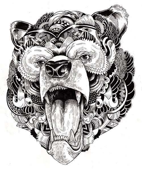 09 AnimalDrawing in Incredibly Amazing Animal Illustrations by Iain Macarthur