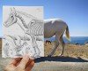 pencil-drawings-photography