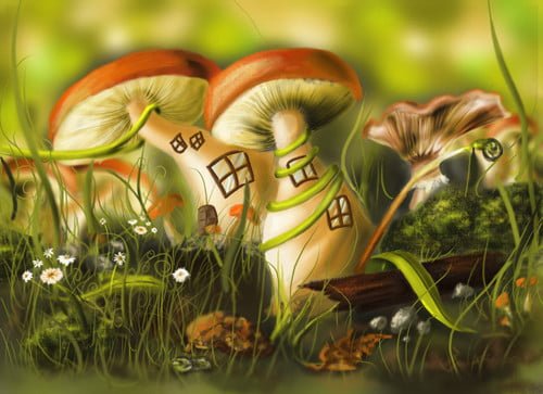 Mushrooms paintings by tastyperfume