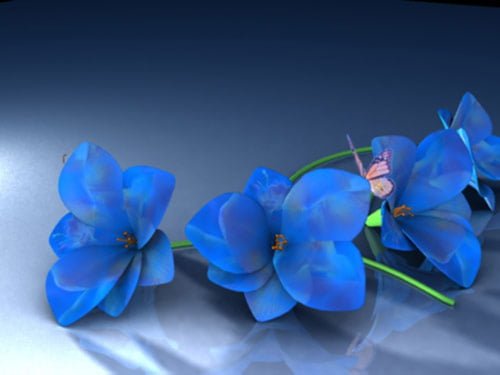 23 flowers 23 flowers in 40 Amazing and Beautiful Pictures of Flowers