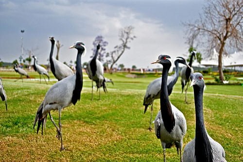 Beautiful Pictures of Pakistan 17 in 40 (More) Beautiful Pictures of Pakistan (Happy independence Day)