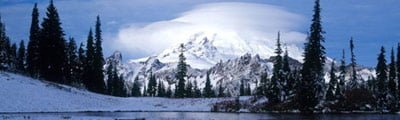 Winter Wonderland in Its Striking Forms of Cold