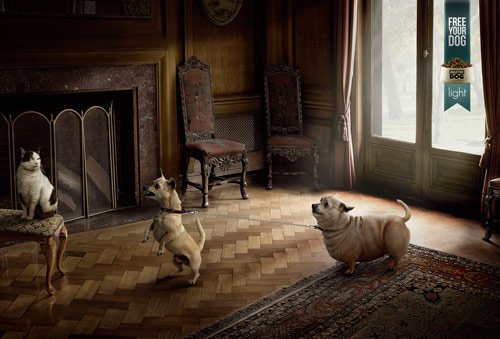 03 Free Your Dog in 40 Creative Advertisements Using Animals