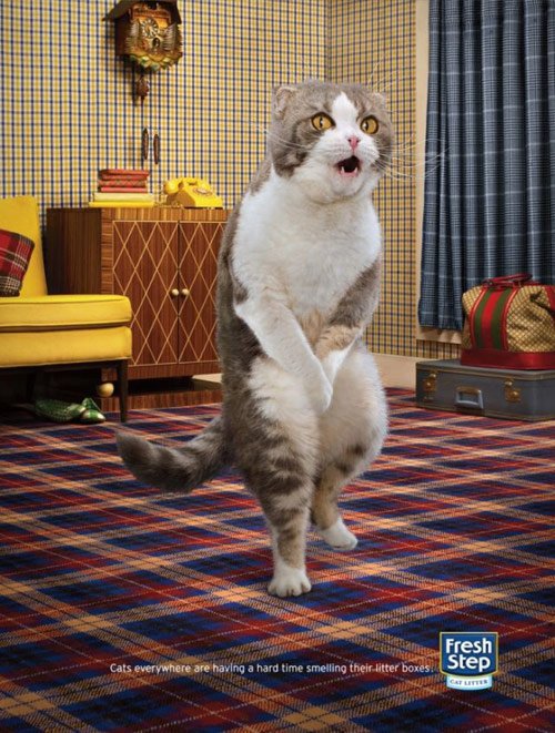 12 Cross legged Cats in 40 Creative Advertisements Using Animals