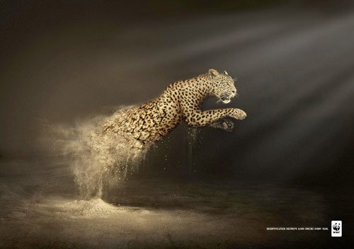 15 Desertification Destroys in 40 Creative Advertisements Using Animals