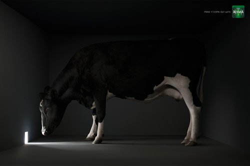 21 Make It Come Out With Activia in 40 Creative Advertisements Using Animals