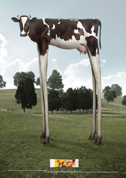 25 The Longer Lasting Bone in 40 Creative Advertisements Using Animals