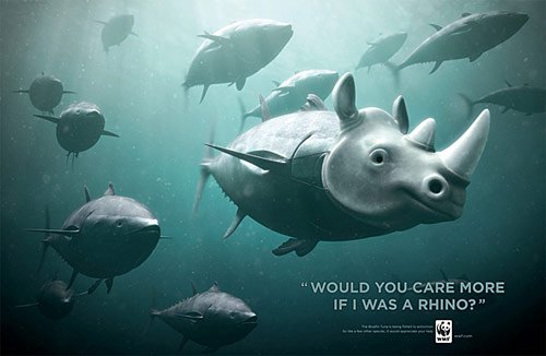 27 Would You Care More If I Was A Rhino in 40 Creative Advertisements Using Animals