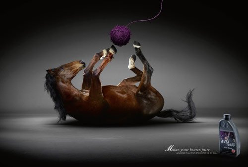 30 Makes Your Horses Purr in 40 Creative Advertisements Using Animals