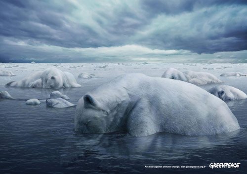 32 Greenpeace Polar Bears in 40 Creative Advertisements Using Animals