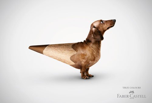 38 True Colours in 40 Creative Advertisements Using Animals