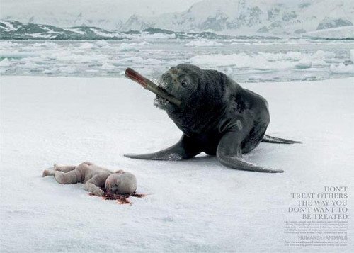 Humans for Animals: Seal - controversial print ads
