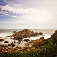 nature-photography