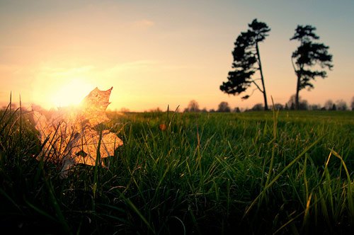 landscape photography