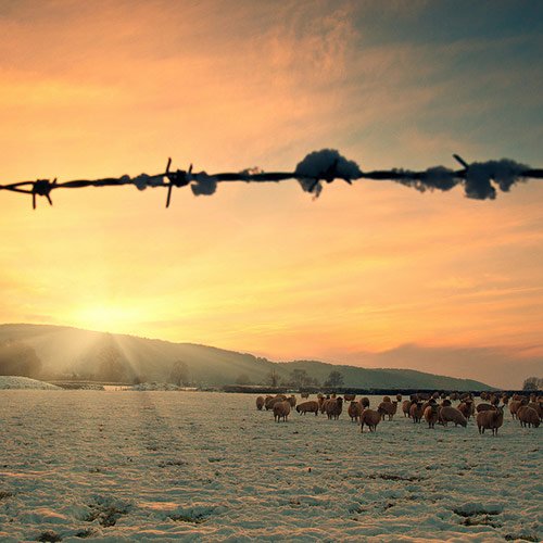 landscape photography