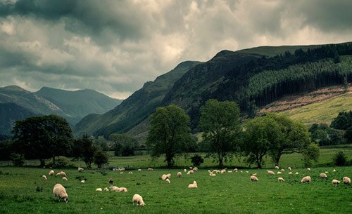 landscape photography