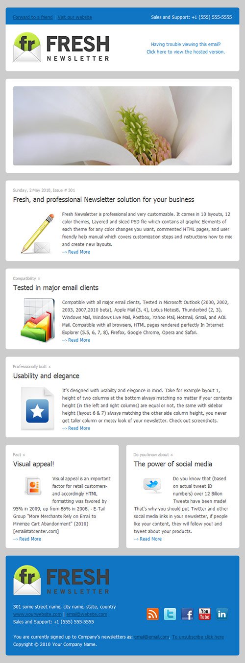 Newsletter Design Showcase