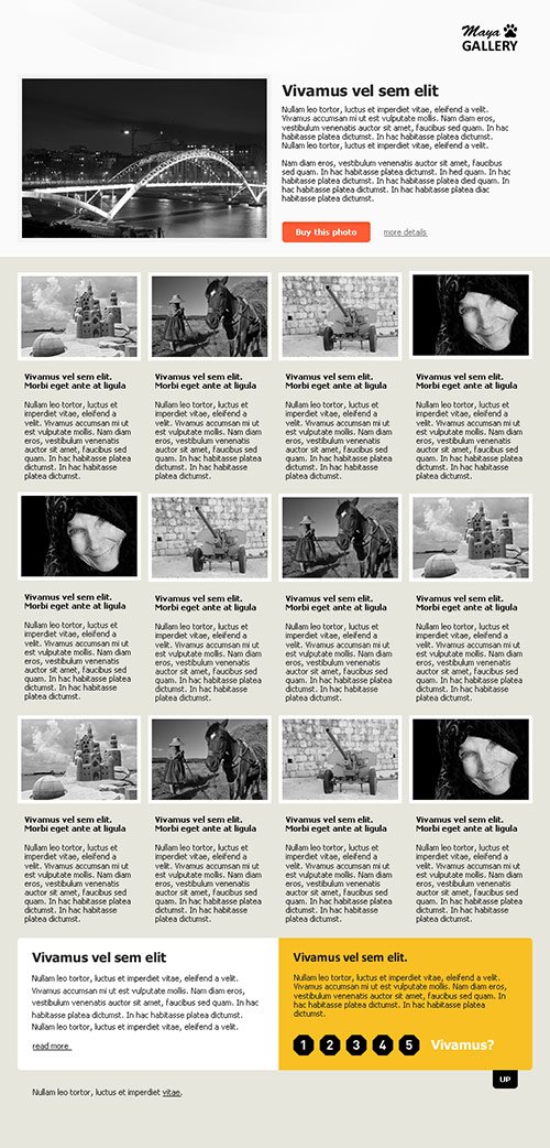 Newsletter Design Showcase