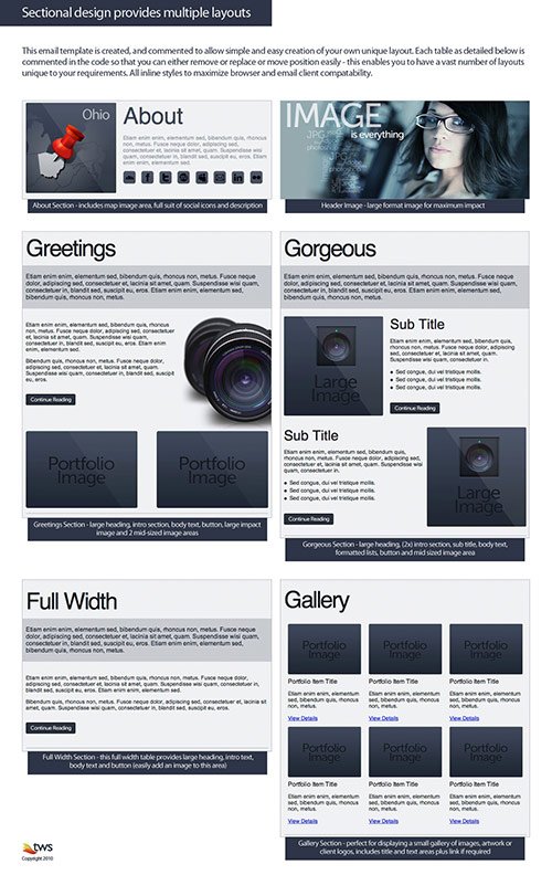 Newsletter Design Showcase