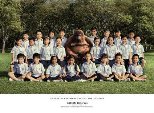 Wildlife Reserves Singapore: Teacher