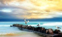 hd widescreen