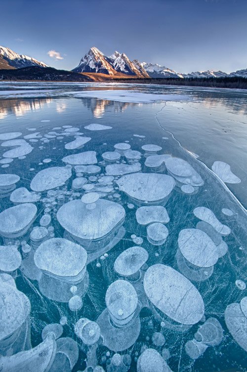 Ice Bubbles in Abraham Lake, Kootenay Plains, Bighorn Wildlands, Alberta, Canada