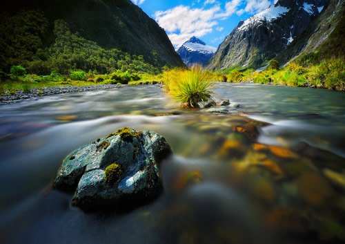 Dreamy creek @ Milford Sound