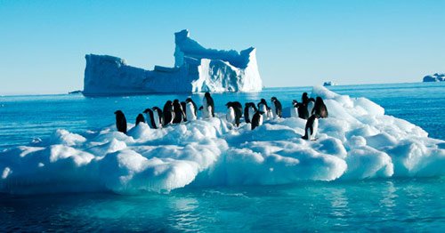 Antarctica at risk from flood of people in antarctica pictures