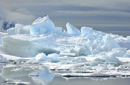 Antarctic fantasy in blue tones in antarctica pictures