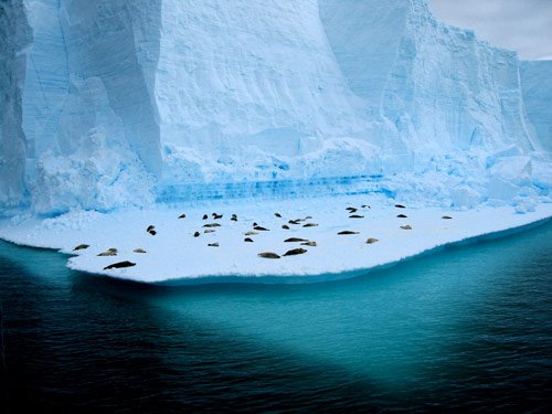 Living on Ice in antarctica pictures