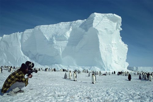 Cameraman Doug Allan filming Emperor penguin colony, Antarctica in antarctica pictures