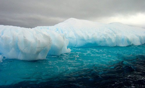 Icebergs near the Antarctic Peninsula