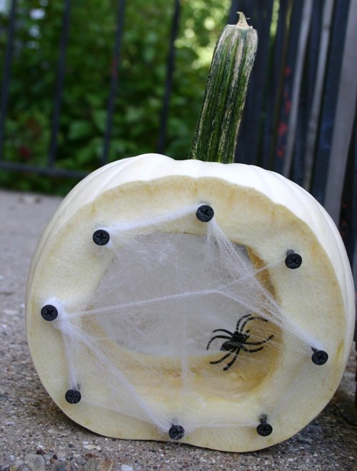 Spider's Nest Pumpkin